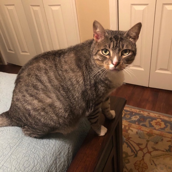 Meet your Posher, J Broussard - Picture 3 of 6